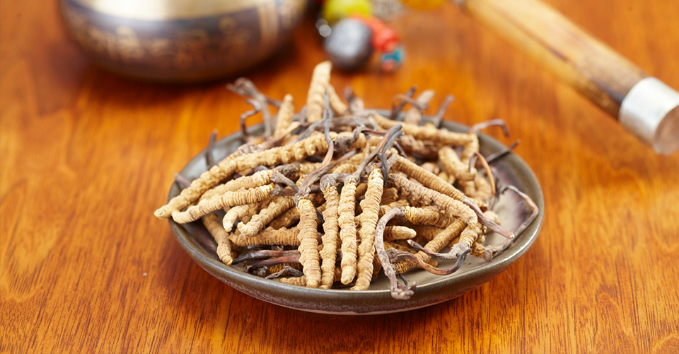 20200401150406799 (1).jpg 20200401150406799 (1).jpg